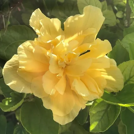 La Casetta Di Gio Сasa de vacaciones Sciacca