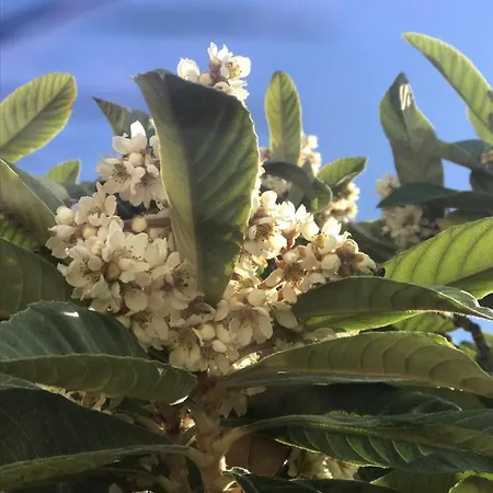 Сasa de vacaciones La Casetta Di Gio *