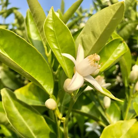 La Casetta Di Gio Сasa de vacaciones *