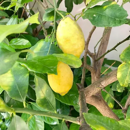 Сasa de vacaciones La Casetta Di Gio Sciacca